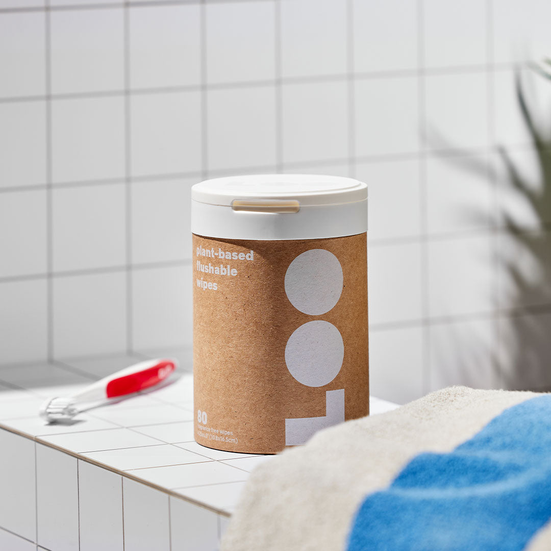 Classic Flushable Wipes Single Pack