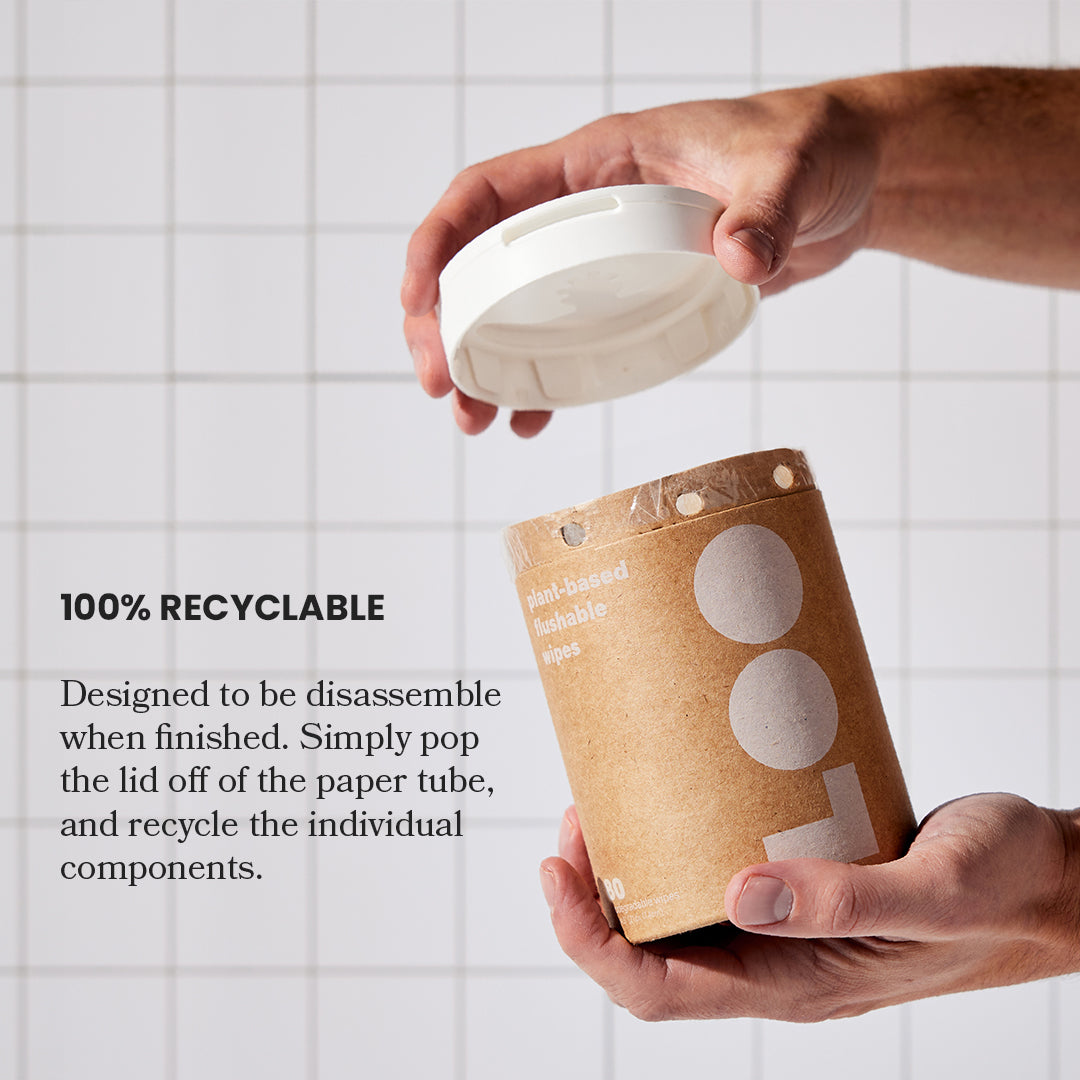 Classic Flushable Wipes Three Pack